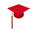 Shiny  High School Cap & Tassel - Graduation Caps - Image 9