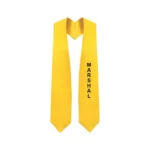 Parliamentarian Class Officer Stole - Image 4