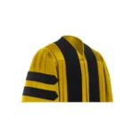 Deluxe Gold Doctoral Gown - Image 3