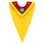 Custom Graduation V-Stoles