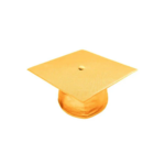 Shiny Antique  Bachelors Graduation Cap - College & University
